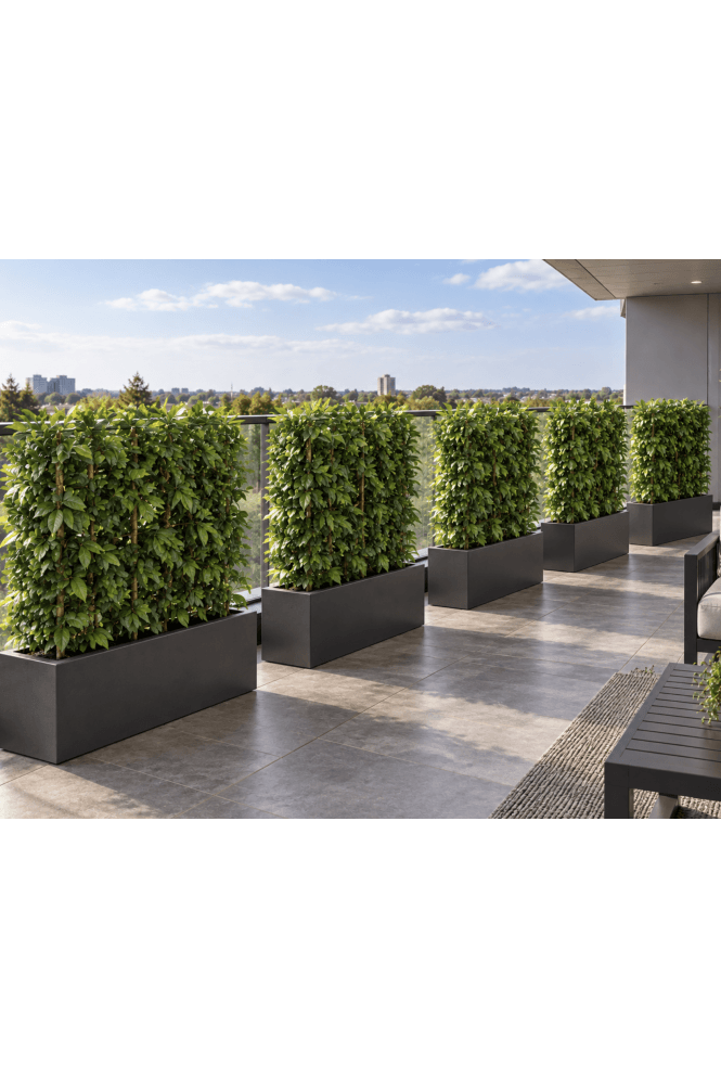 The Artificial Plants Shop Artificial Charm Foliage Hedge