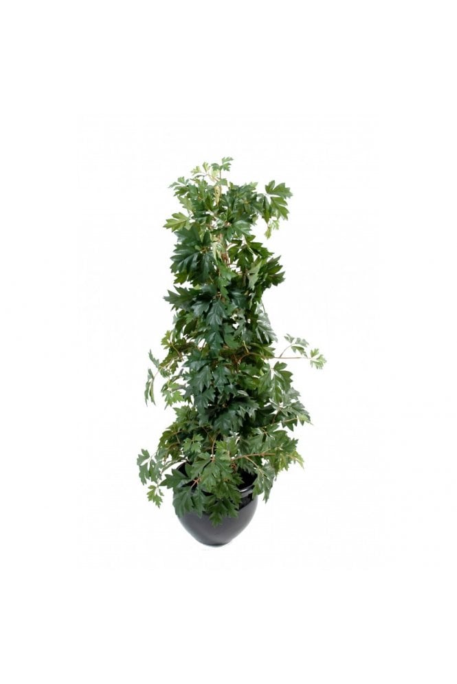 The Artificial Plants Shop Artificial Cissus Plant 100cm