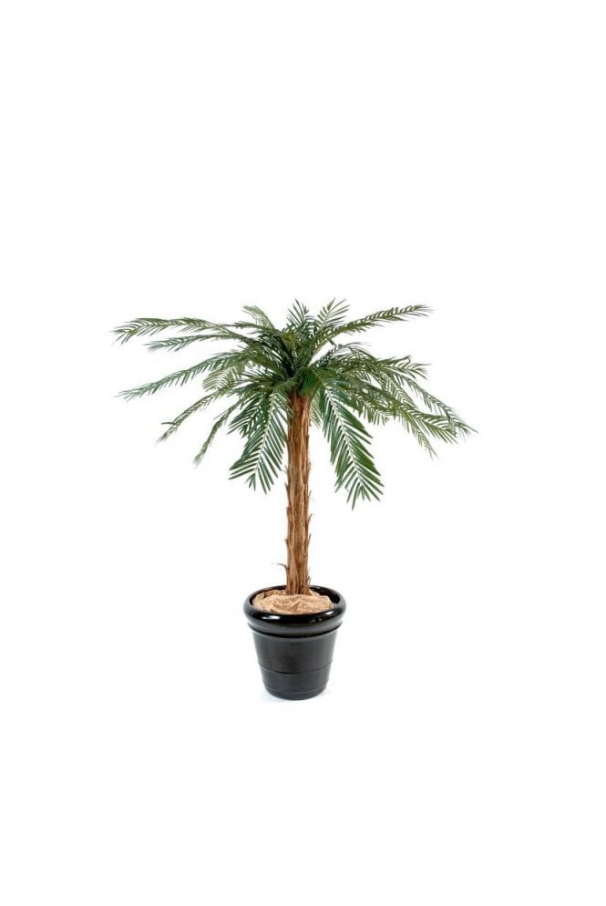 The Artificial Plants Shop Artificial Cycas Palm Tree Single Trunk