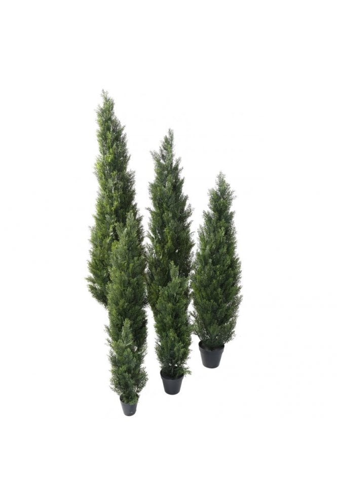 The Artificial Plants Shop Artificial Cypress Juniper Cone