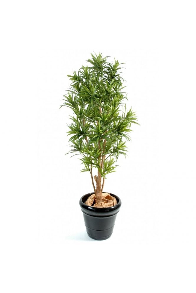 The Artificial Plants Shop Artificial Dracaena Reflexa 1.1m