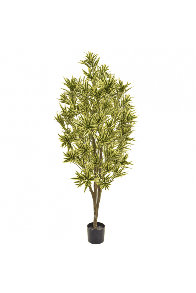 The Artificial Plants Shop Artificial Dracaena Reflexa 170cm