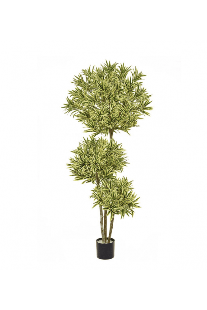 The Artificial Plants Shop Artificial Dracaena Reflexa Multi Layer 180cm