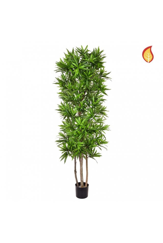 The Artificial Plants Shop Artificial Dracaena Song of Jamaica 180cm Flame Retardant