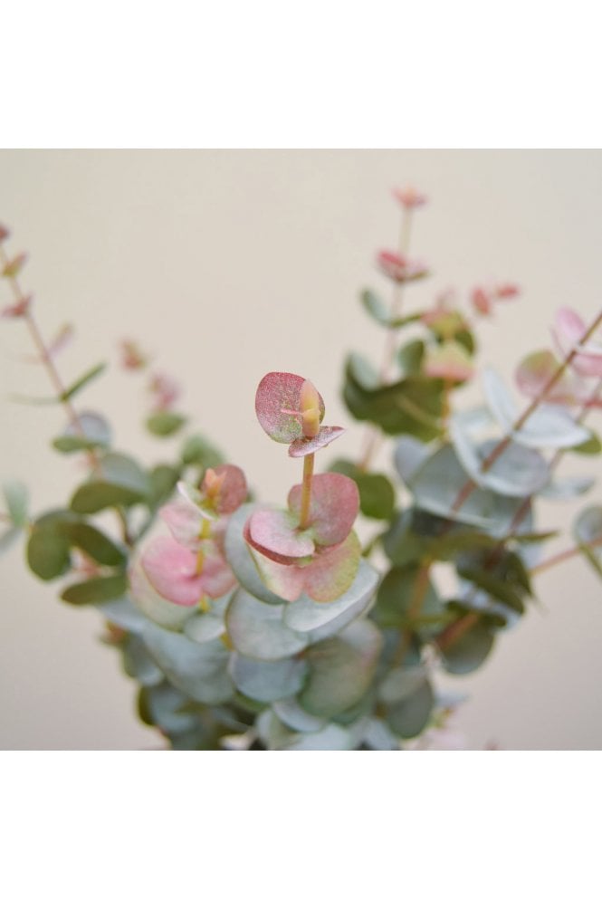 The Artificial Plants Shop Artificial Eucalyptus Stem Green