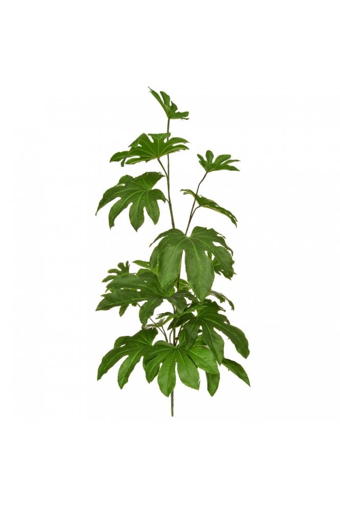 The Artificial Plants Shop Artificial Fatsia Plant 83cm