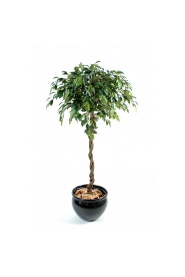 Artificial Ficus Ball on Twisted Trunk