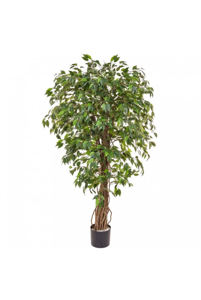 The Artificial Plants Shop Artificial Ficus Green 150cm - Liana Trunk