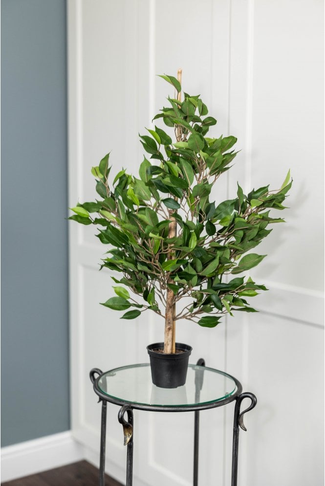 The Artificial Plants Shop Artificial Ficus Tree Arrangement 60cm