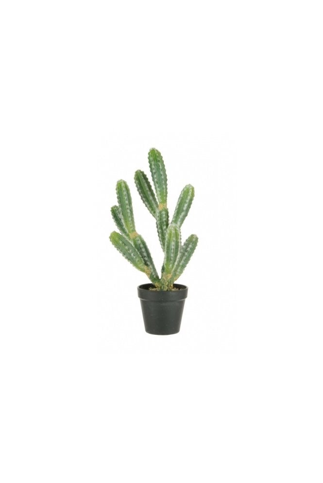 The Artificial Plants Shop Artificial Finger Cactus Potted