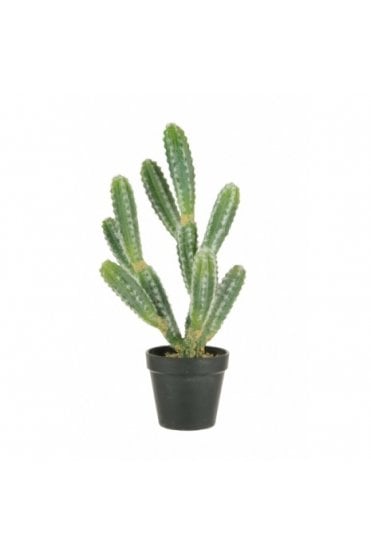 Artificial Finger Cactus Potted