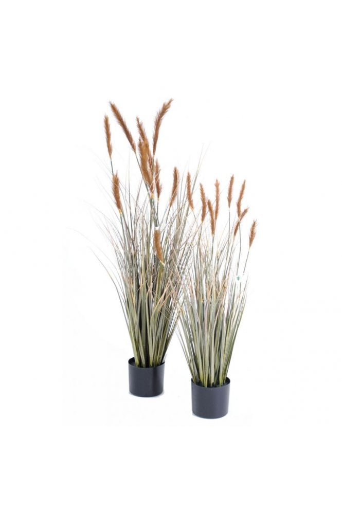 The Artificial Plants Shop Artificial Foxtail Grass Dark