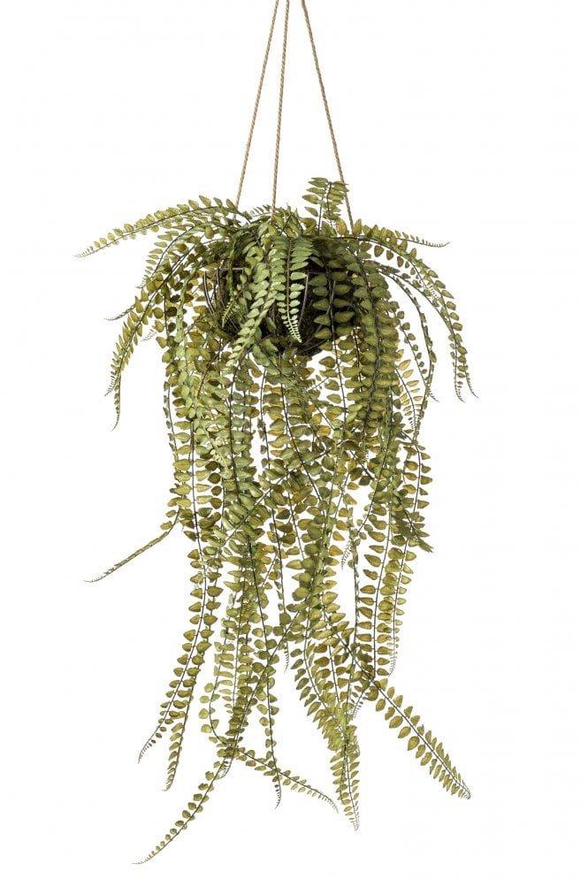 The Artificial Plants Shop Artificial Hanging Button Fern
