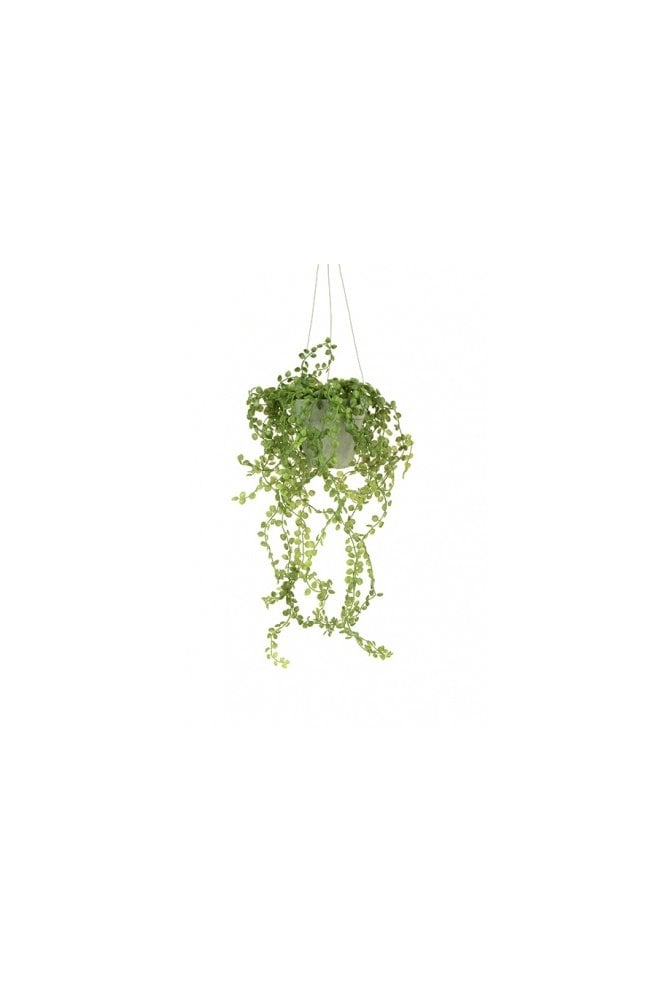 The Artificial Plants Shop Artificial Hanging Button Leaf Plant Arrangement