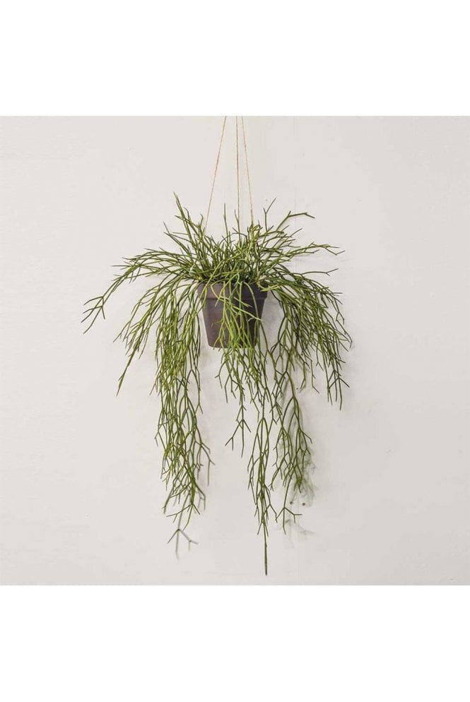 The Artificial Plants Shop Artificial Hanging Succulent Plant