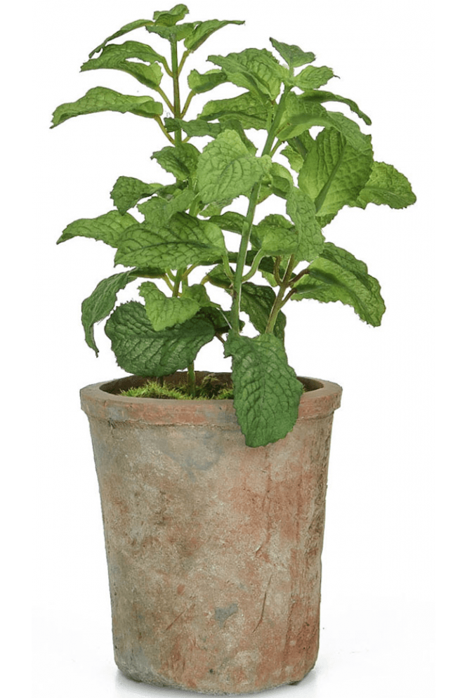 The Artificial Plants Shop Artificial Herb - Mint Plant