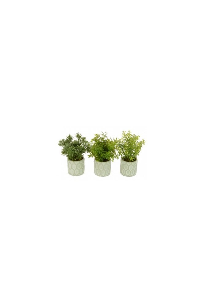 The Artificial Plants Shop Artificial Herbs in Mosaic Pots - Set of 3
