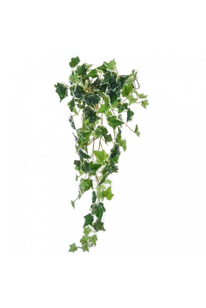 The Artificial Plants Shop Artificial Ivy Variegated 70cm