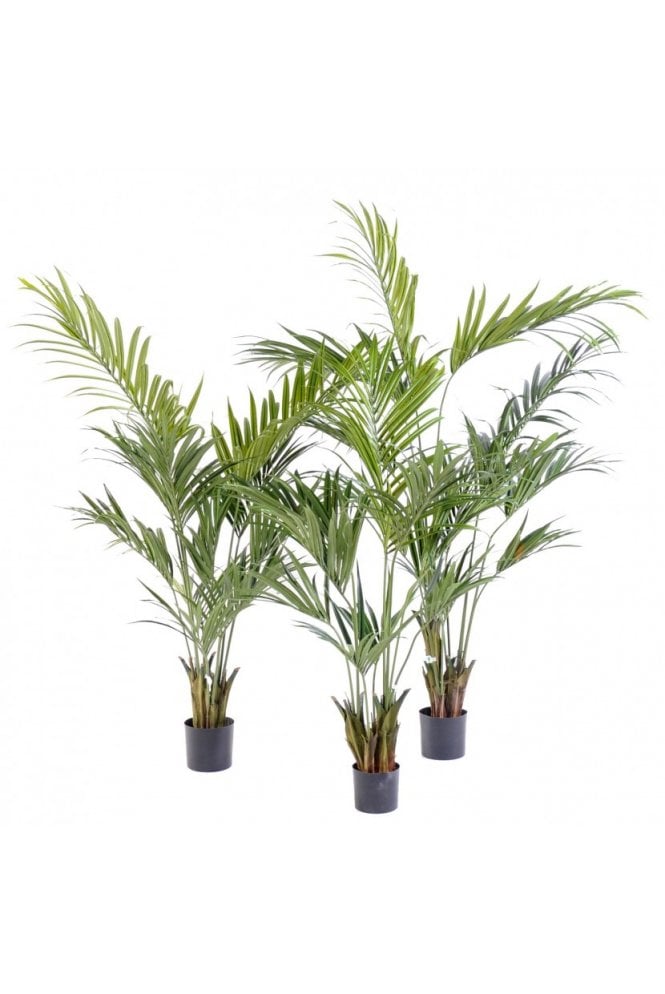 The Artificial Plants Shop Artificial Kentia Palm Type B