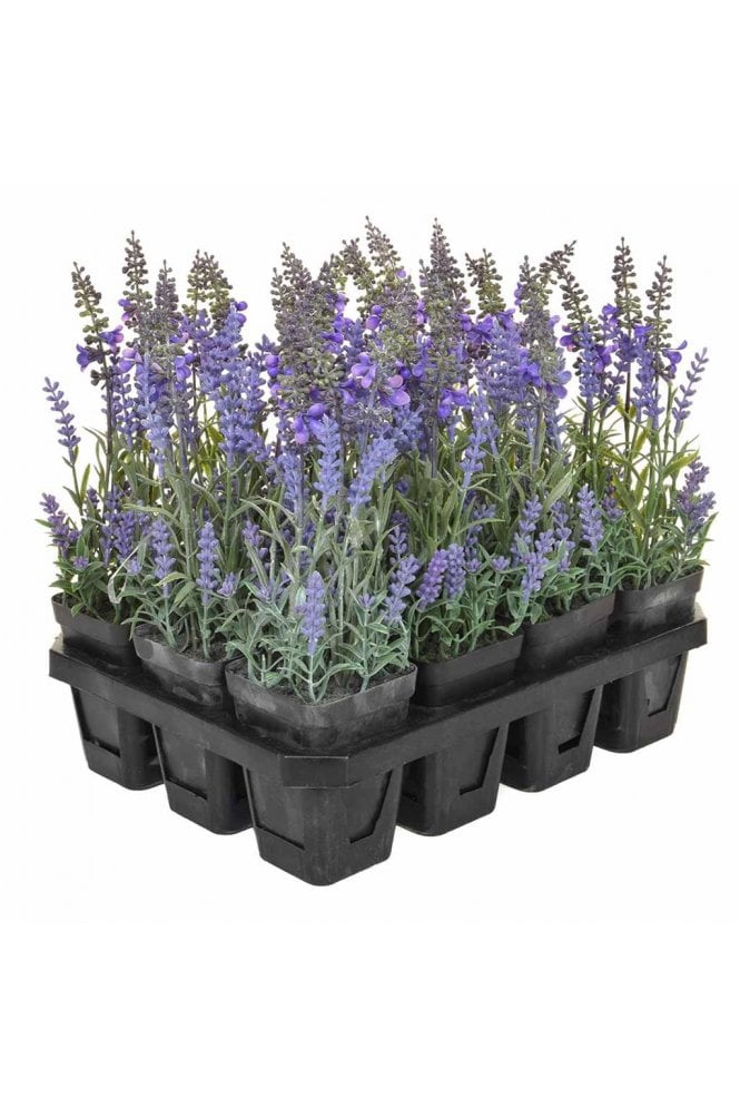 The Artificial Plants Shop Artificial Lavender Potted Plants - Tray of 12