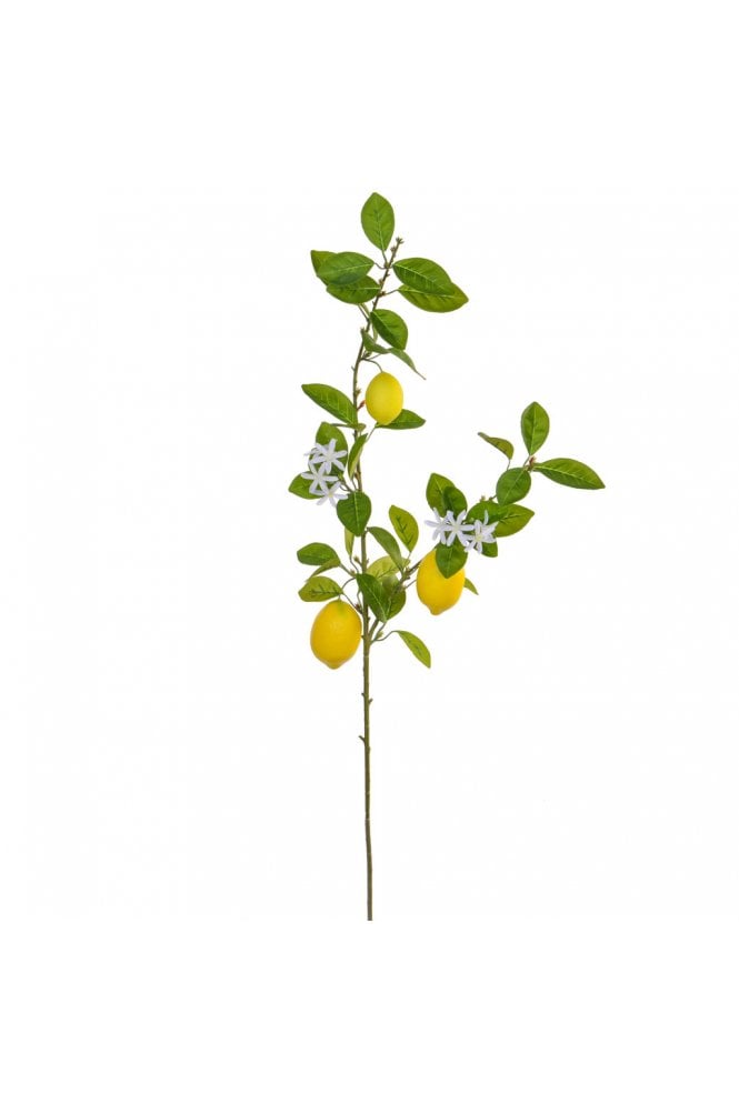 The Artificial Plants Shop Artificial Lemon Foliage