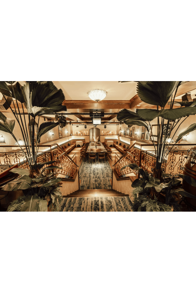The Artificial Plants Shop Artificial Licuala Grandis IFR