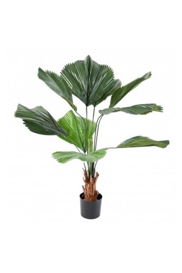 Artificial Licuala Grandis Palm