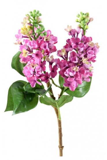 Artificial Lilac Stem - Double Head Pack of 3