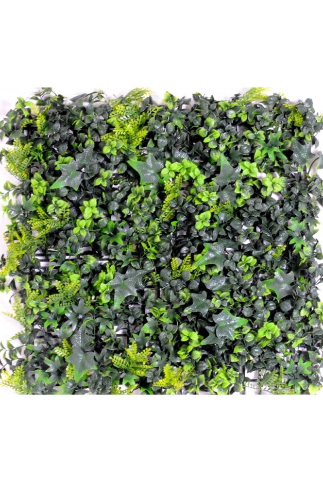 The Artificial Plants Shop Artificial Living Wall Panel UV- Boxwood & Ivy