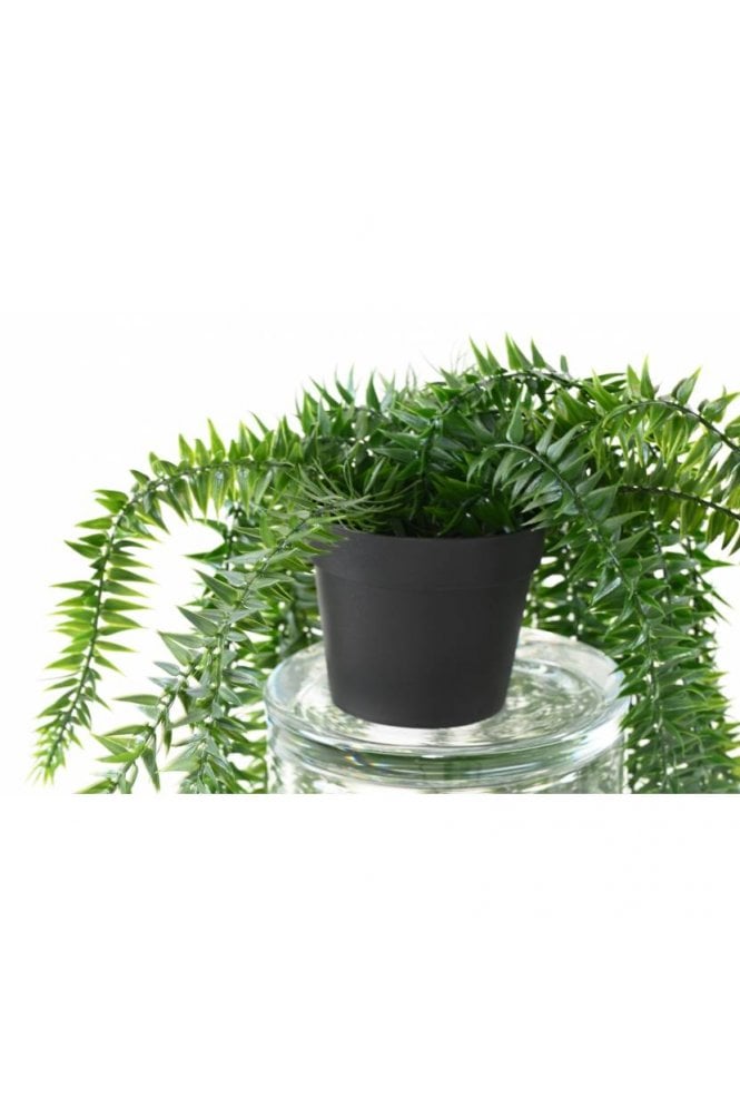 The Artificial Plants Shop Artificial Lycopodium 70cm