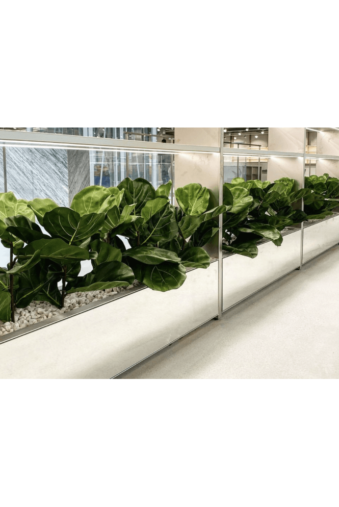 The Artificial Plants Shop Artificial Lyratta Trough Fillers