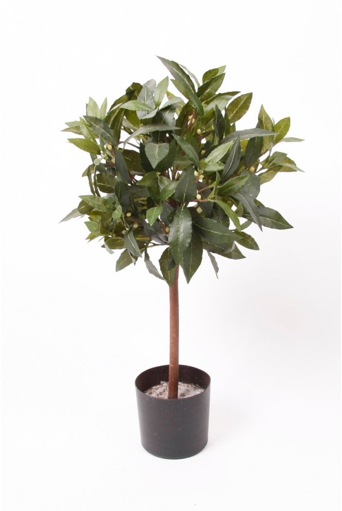 The Artificial Plants Shop Artificial Mini Bay Ball Tree 60cm