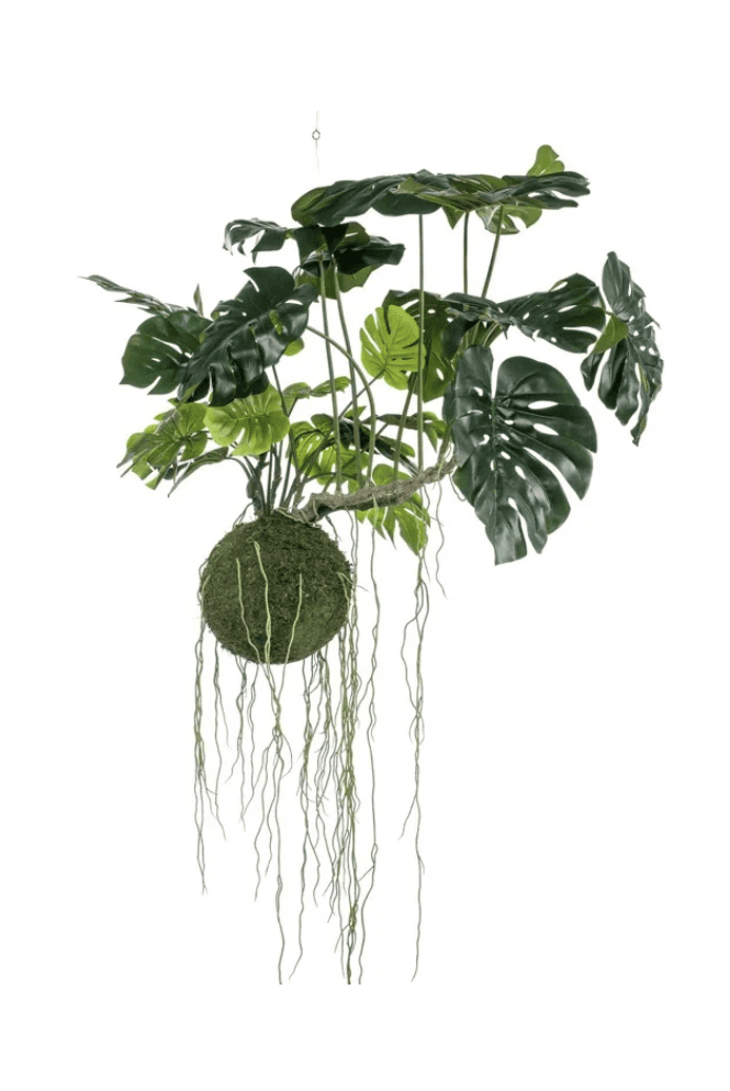 The Artificial Plants Shop Artificial Monstera moss ball hanging 