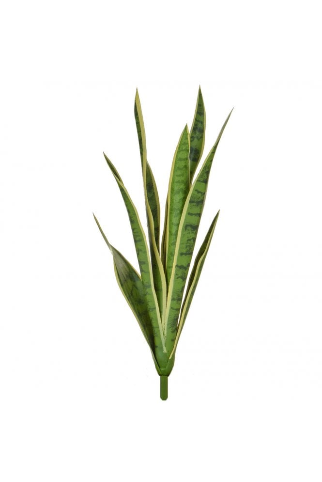 The Artificial Plants Shop Artificial Mother In Laws Tongue Variegated ( Cream and Green )