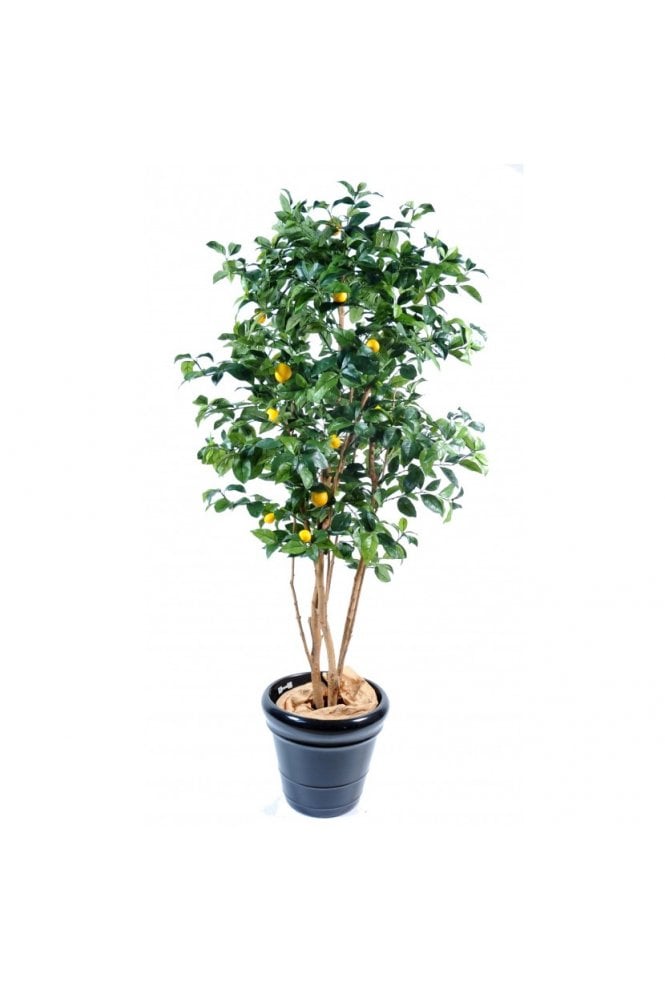 The Artificial Plants Shop Artificial Multi Stem Lemon Tree