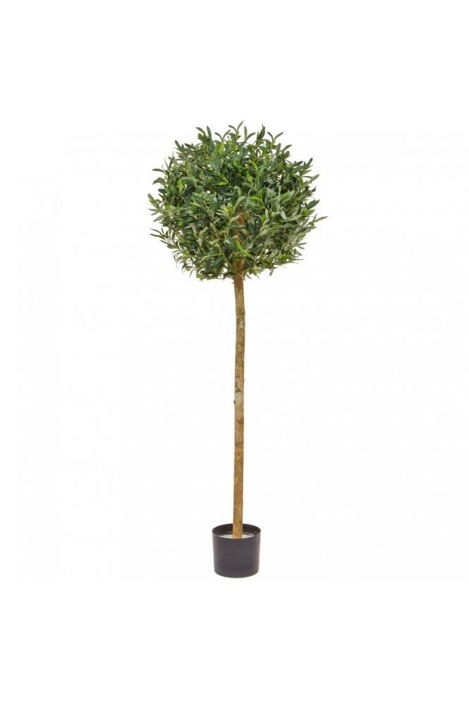The Artificial Plants Shop Artificial Olive Ball Tree 1.5m/5ft