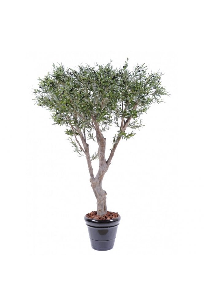 The Artificial Plants Shop Artificial Olive Multi Branch Tree