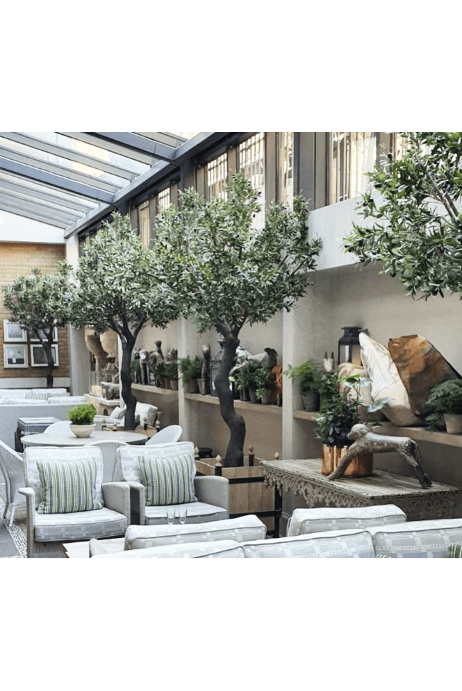 The Artificial Plants Shop Artificial Olive Tree 2.7m Tall