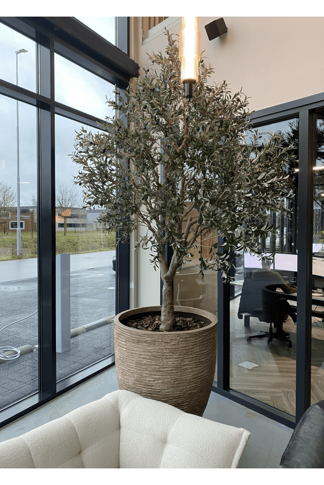 The Artificial Plants Shop Artificial Olive Tree with Artificial Stem