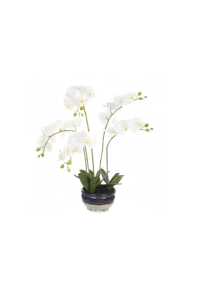 The Artificial Plants Shop Artificial Orchid Arrangement in Mottled Blue Base