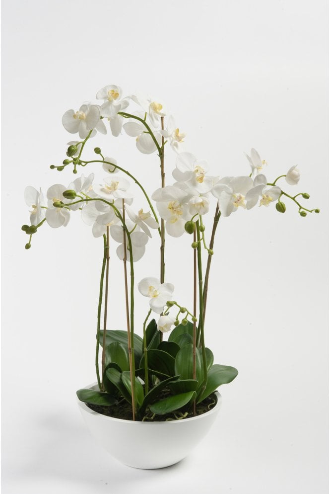 The Artificial Plants Shop Artificial Orchid Display 90cm
