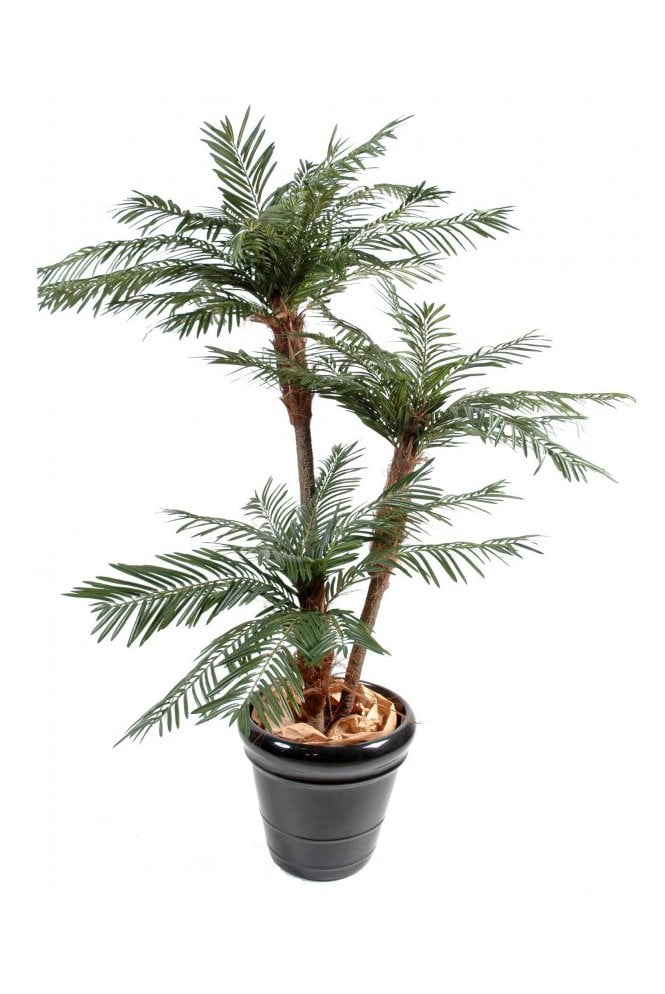 The Artificial Plants Shop Artificial Palm 3 Trunk