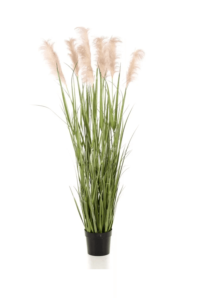 The Artificial Plants Shop Artificial Pampas Grass 175cm