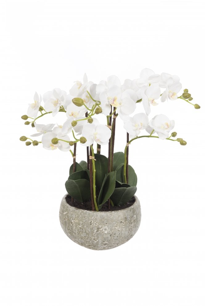 The Artificial Plants Shop Artificial Phalaenopsis Orchid Arrangement 47cm
