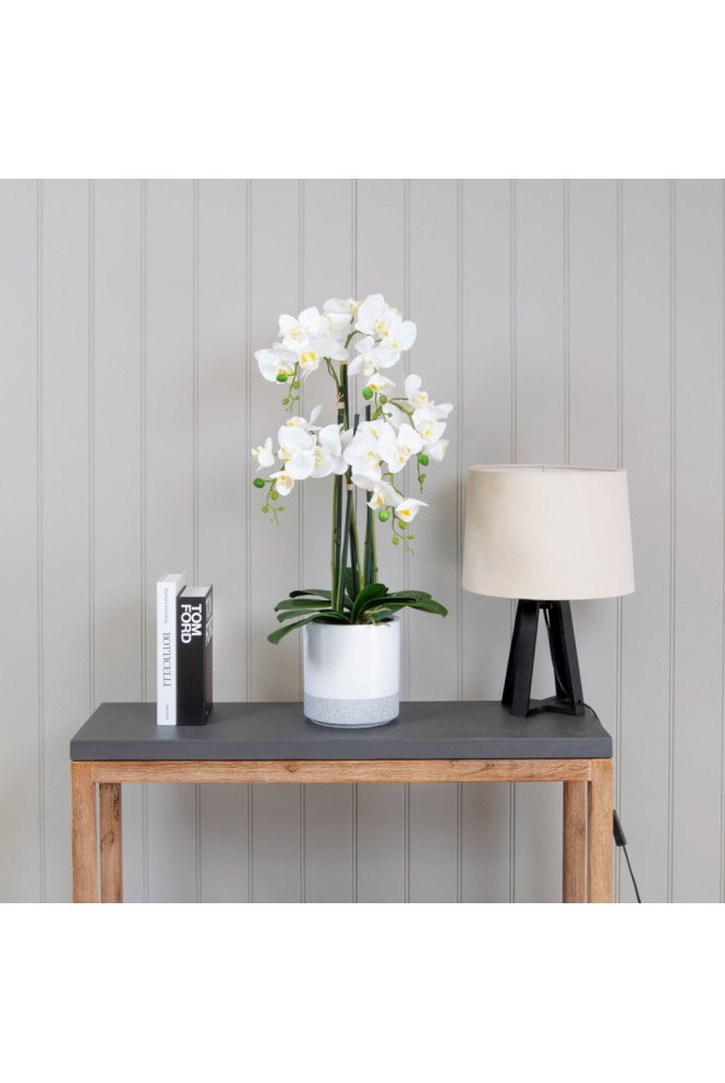 The Artificial Plants Shop Artificial Phalaenopsis Orchid Arrangement 70cm
