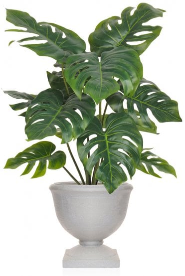 Artificial Philo Plant Arrangement