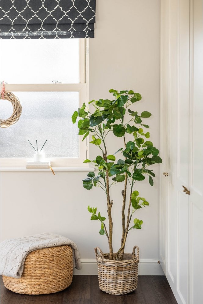The Artificial Plants Shop Artificial Polyscias Tree 135cm