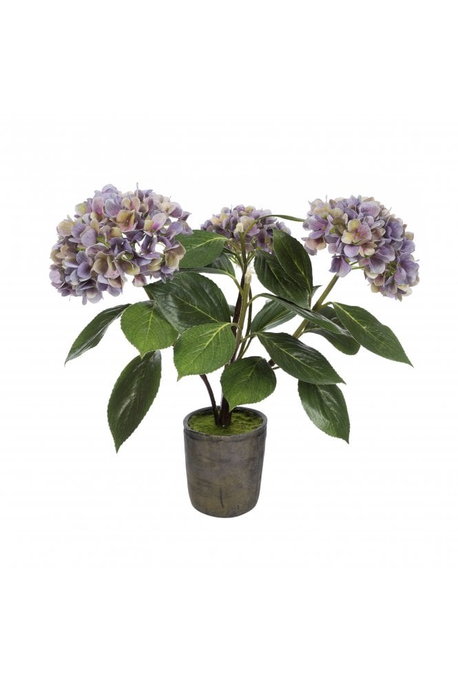 The Artificial Plants Shop Artificial Potted Hydrangea - Antique Purple