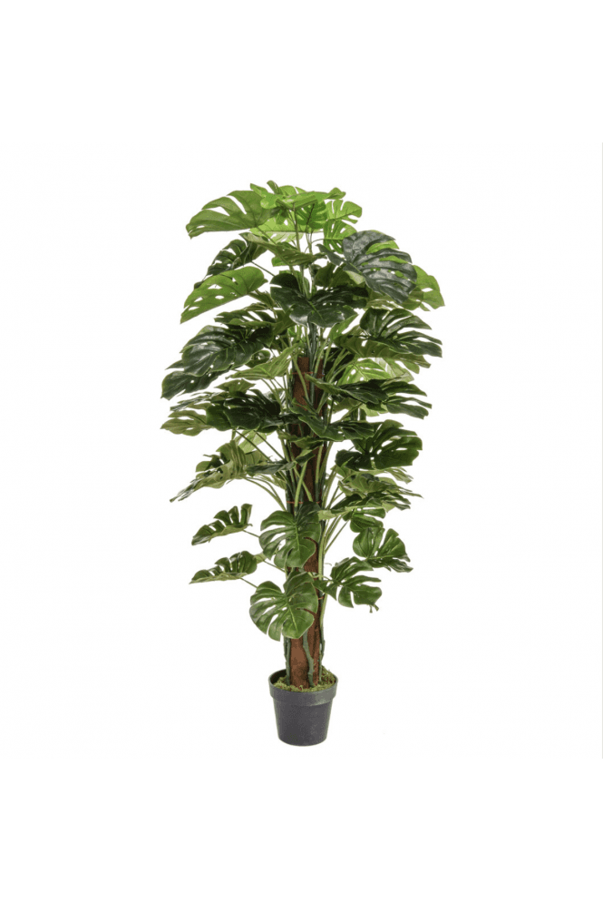 The Artificial Plants Shop Artificial Potted Monstera 150cm
