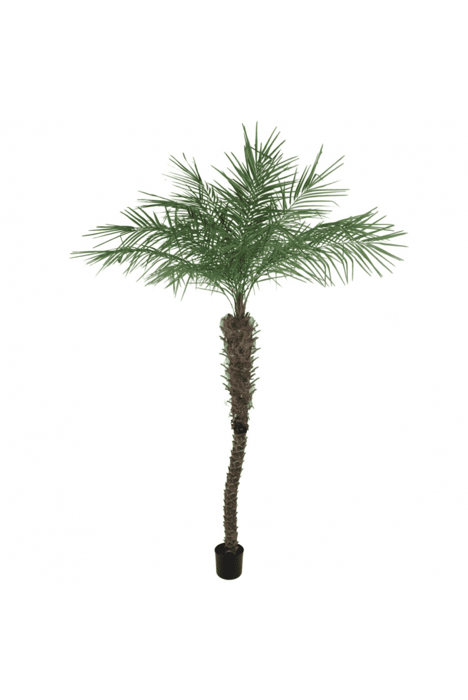 The Artificial Plants Shop Artificial Potted Phoenix Palm Tree 210cm